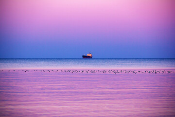 Beautiful sunset on the sea. Incredible sea view. Ship and birds in the sea © Stasiuk