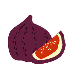 Exotic purple fig fruit. Vector hand-drawn illustration isolated on a white background