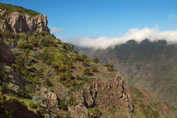 Fototapeta na wymiar Rural landscape of La Gomera island on a sunny day.Canary Islands.