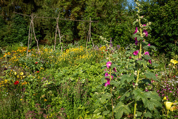 Blumen und Gemüse im Biogarten,  Flowers and Vegetables in the Organic Garden