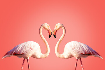 Two pink flamingos making a heart shape. Concept for Valentine's day
