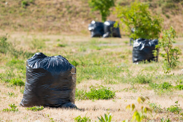 black garbage bags on the field, garbage collection, care for the cleanliness of the environment