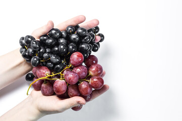 Children's hands hold freshly washed red and black grapes close-up.