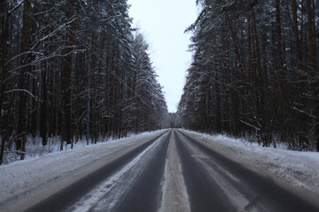 road in winter forest