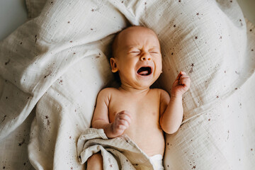 Newborn baby crying, lying in baby nest, top view. - obrazy, fototapety, plakaty