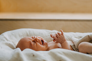 Newborn baby crying, lying in baby nest.