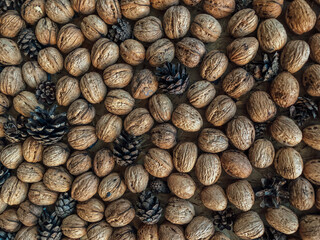 Autumn vibe background texture formed from walnuts and pine cones flat laid on table