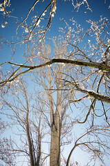 Winter in the Pyrenees