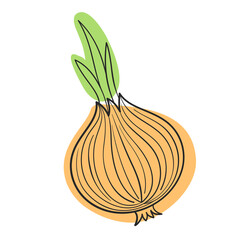 Vector onion line and abstract spot on white isolated background.