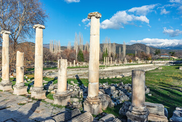 Afrodisias Ancient city swimming pool. (Aphrodisias) was named after Aphrodite, the Greek goddess...