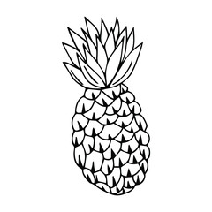 Pineapple hand drawing Isolated on a white background. Vector stock illustration.