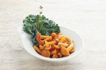 Wild pickled honey mushroom in the bowl