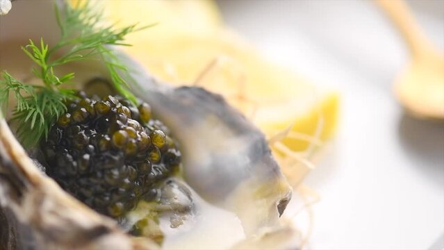 Fresh oysters with black caviar. Opened oysters with black sturgeon caviar and lemon, Gourmet food in restaurant. Delicatessen. 4K