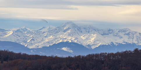Panorama sur les montagnes des Pyrénées enneigées traversée par un vol de palombes en hiver