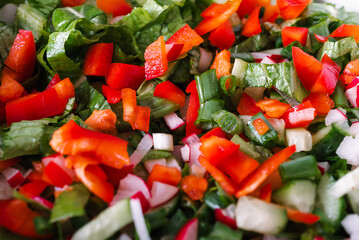 Close-up for sliced greens, onion, radish and pepper salad