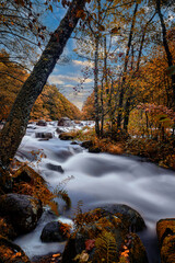 Langzeitbelichtung von einem Fluss in Schweden, Naturreservat Sumpafallen