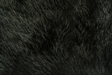 faux fur texture closeup