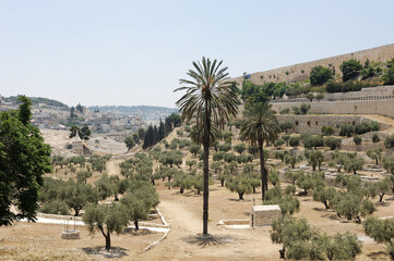 Jerusalem, view of the old city from the Mount of Olives