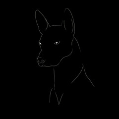 One of the oldest dog breeds in the world is highlighted with a white outline on a black background