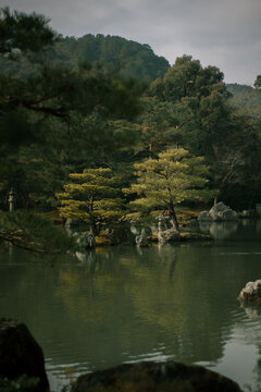 Peaceful