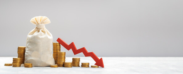 Money bag and red down arrow. Template Copy space for text. mock-up