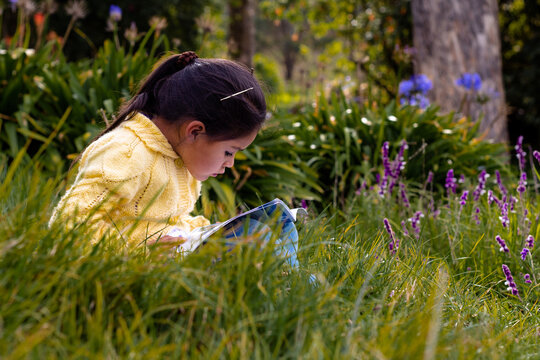 lee una ni&ntilde;a durante el d&iacute;a me encanta leer,sabidur&iacute;a,concepto de infancia , 