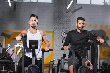 Fototapeta na wymiar Multiethnic sportsmen training on elliptical trainers in gym.