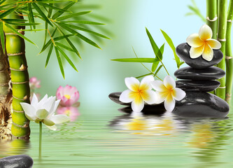 Décor zen spa massage 