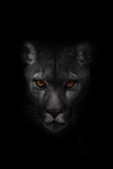 Foto op Plexiglas (Puma concolor) bergleeuw spookachtig portret in zwart-wit met kleurrijke ogen © michal