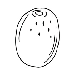 Fresh kiwi and outline on white background