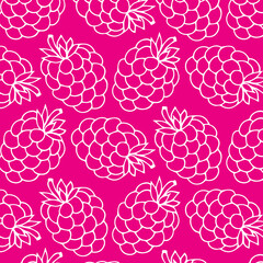 cute raspberry pattern. Vector doodle seamless pattern with raspberry for wallpaper, web page background, surface textures, textile, scrap book, design fabric, menu
