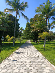 Obraz premium the extraordinary beauty of a farm