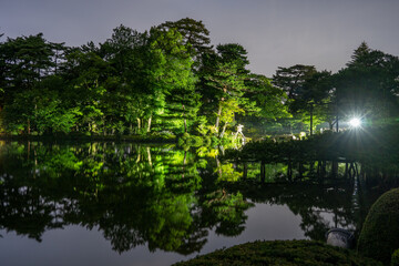 初夏の緑の包まれた石川県金沢市にある兼六園・ホタル観賞会