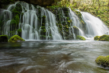 Obraz premium 元滝伏流水