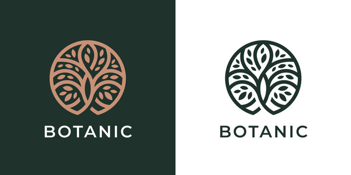 Circle Tree of Life logo icon. Abstract nature branch with leaves business sign. Round garden plant natural line symbol. Vector illustration.