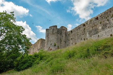 Fototapeta na wymiar Chepstow town and castle in the summertime.