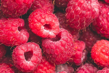 fresh red raspberry background. summer berries