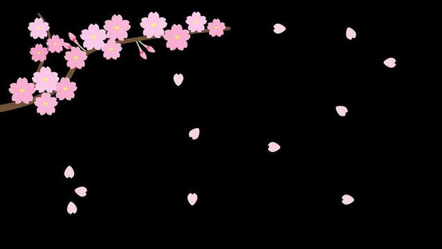 舞い散る桜の枝のアニメーション 黒背景