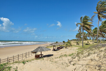 Fototapeta na wymiar Praia e coqueiros.