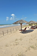 Praia com coqueiros e céu azul.