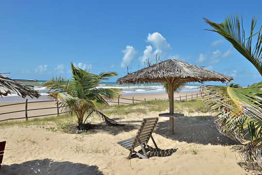 Praia e coqueiros.