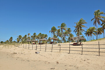 Praia com coqueiros e céu azul.