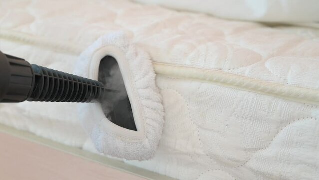 Disinfection with hot steam from bed bugs.