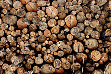 Pilha de madeiras.
