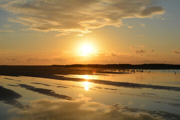 Fototapeta na wymiar Low tide by orange sunset over the sea with lots of seagulls