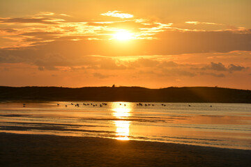 Sunset at low tide over the sea with  seagulls