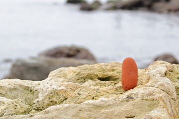 an oval-shaped pebble of red color on a yellow stone