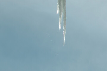 Obraz na płótnie Canvas The icicle starting to melt.
