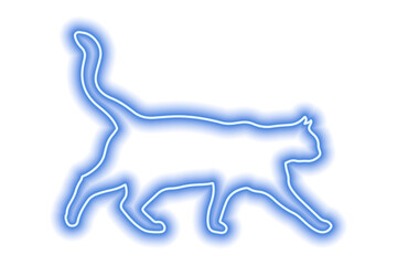 Neon blue cat isolated on white. The cat walks with its tail raised high