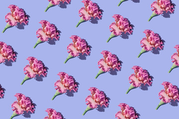 Creative pattern made of beautiful iris flowers on pastel violet background. Nature concept. Minimal style. Top view. Flat lay